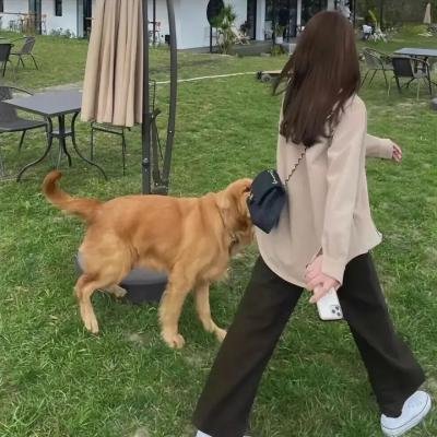 连环计中计